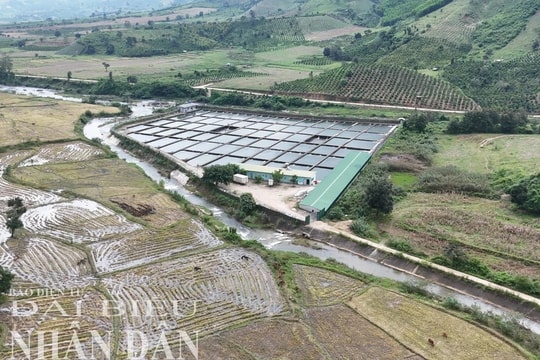 Đắk Lắk: Doanh nghiệp chặn suối nuôi cá tầm, dân than nguồn nước ô nhiễm