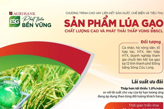 Agribank triển khai cho vay liên kết sản xuất lúa gạo chất lượng cao vùng đồng bằng sông Cửu Long