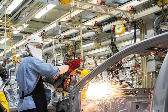 Tập trung xây dựng doanh nghiệp lớn, mang tính dẫn dắt