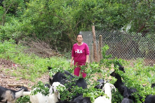 Tỷ lệ hộ nghèo Phan Thiết giảm còn 0,63%