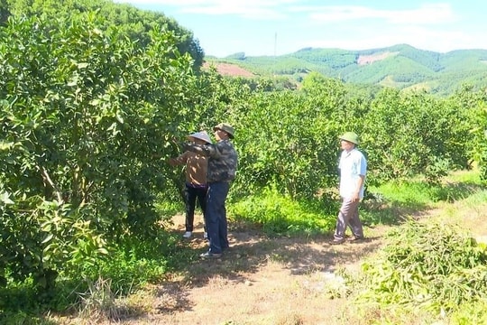 Tín hiệu đáng mừng từ công tác giảm nghèo tại Hà Tĩnh