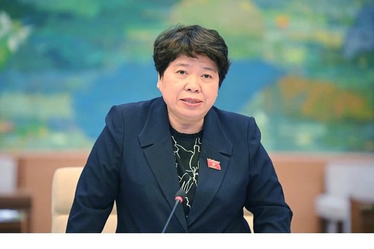 Chủ nhiệm Ủy ban Xã hội Nguyễn Thúy Anh gặp gỡ nhóm Đại sứ, Trưởng đại diện các tổ chức Pháp ngữ tại Hà Nội