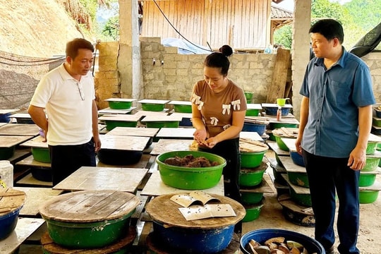 Bài 4: Vùng khó “ló” cách làm hay