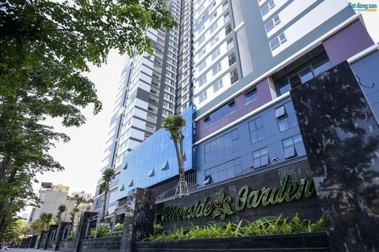 Videc Group vừa bị phạt và truy thu thuế hàng chục tỷ đồng có tiềm lực ra sao?