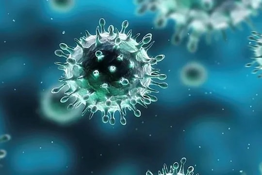 Bình Định: 4 trường hợp tử vong do cúm A/H1pdm, Sở Y tế chỉ đạo khẩn