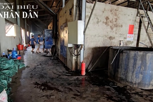 Đắk Lắk: Lò sấy cau không phép xả thải gây ô nhiễm môi trường 