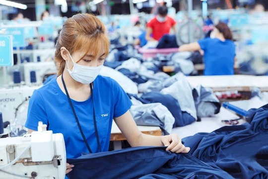 Nhập khẩu nguyên phụ liệu cho ngành dệt may, da giày đạt 22,82 tỷ USD