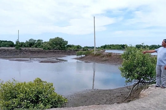 Bà Rịa Vũng Tàu: Làm rõ vụ nhiều thửa đất được cấp “sổ đỏ” chồng lấn sang đất của người khác tại huyện Long Điền 