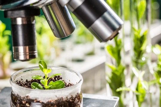 Bài 1: Xu hướng phát triển của nông nghiệp toàn cầu