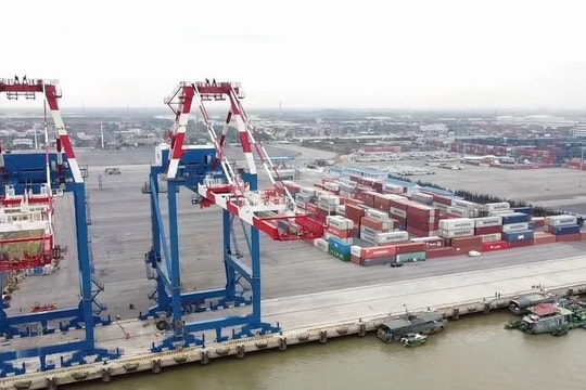 Tổng công ty Hàng Hải Việt Nam (Công ty mẹ - VIMC) có nhiều vi phạm trong công tác cổ phần hóa 