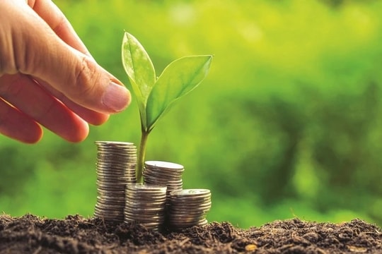 Cần có chính sách để khuyến khích doanh nghiệp, người dân tham gia vào quá trình xử lý rác thải