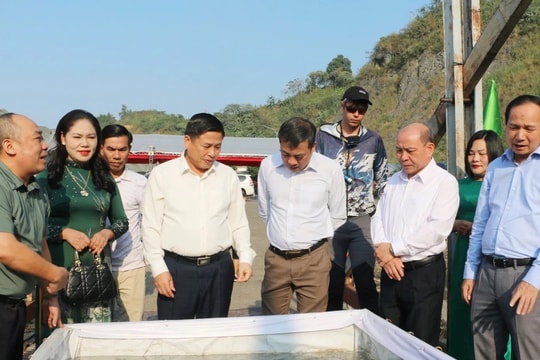 Hòa Bình: Phát triển, quảng bá thương hiệu thủy sản sông Đà