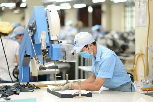 Phú Yên: Thu hút đầu tư phát triển ngành dệt may theo hướng phục vụ xuất khẩu