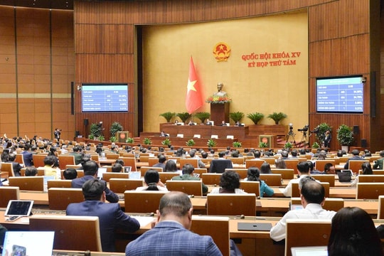 Thông qua Luật Phòng, chống mua bán người (sửa đổi)