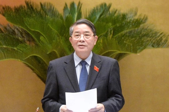 Hạn chế tối đa thất thu thuế và tạo môi trường cạnh tranh công bằng