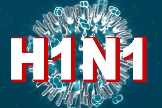 Bộ Y tế yêu cầu không để lây lan dịch cúm A/H1pdm tại Bình Định