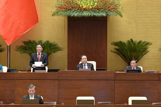 Thông qua Luật Địa chất và khoáng sản