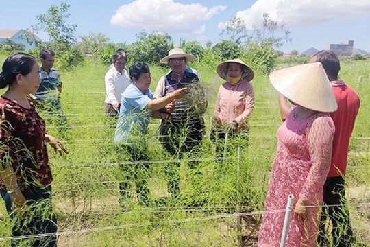 Sớm phân bổ nguồn vốn hỗ trợ bảo đảm giải ngân kịp thời