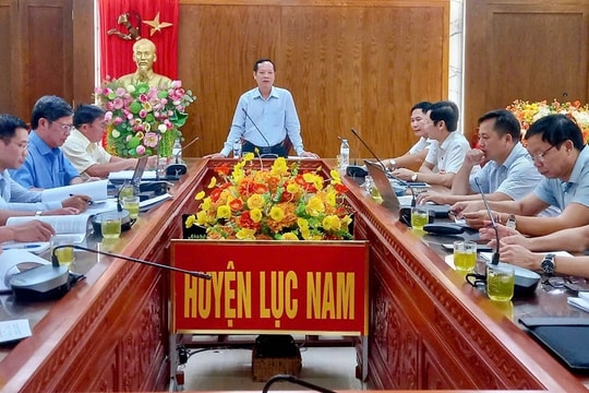 Xử lý đến cùng các kết luận sai phạm