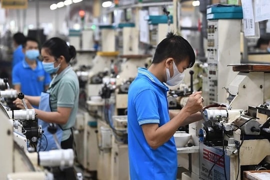 Xử phạt một số doanh nghiệp vi phạm đưa lao động đi làm việc ở nước ngoài