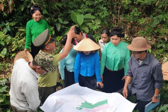 Bài 4: Hiệu quả của Chính sách Chi trả dịch vụ môi trường rừng tại Việt Nam