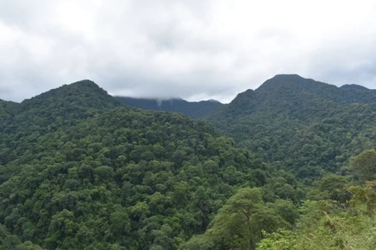 Bài 3: Triển khai thí điểm Nghị định 107/2022/NĐ-CP - Thành tựu và những bài học quý giá