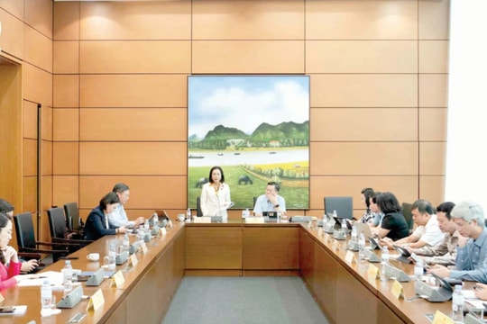 Tiếp tục hoàn thiện tiêu chí, phù hợp với từng hoạt động giám sát