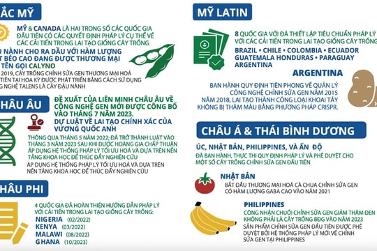 Bài cuối: Hoàn thiện khung pháp lý theo hướng nào?