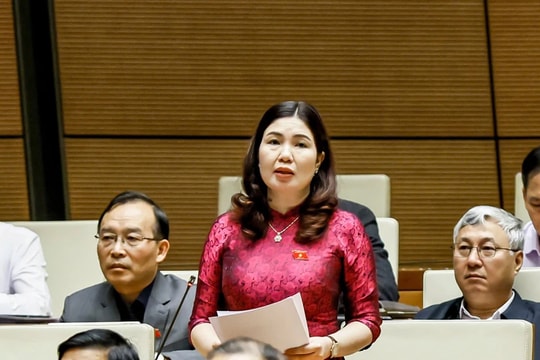 Bổ sung các chính sách đặc thù phát triển doanh nghiệp công nghệ số nhỏ và vừa