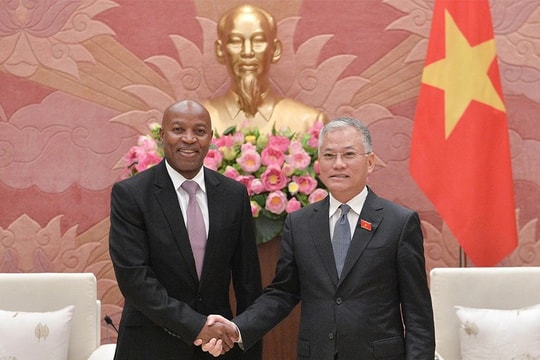 Làm sâu sắc hơn nữa quan hệ hợp tác Việt Nam - Tanzania