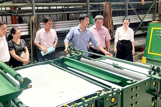 Góp phần tạo động lực phát triển bền vững kinh tế nông thôn 