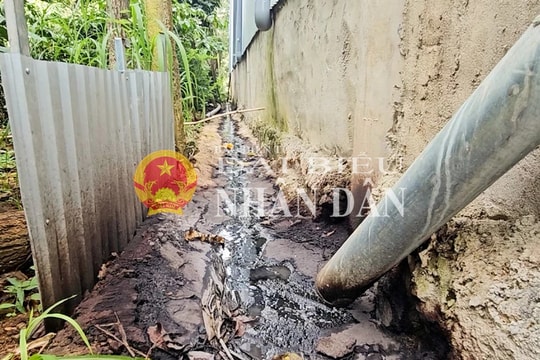 Đắk Lắk: Yêu cầu kiểm tra, báo cáo tình trạng lò sấy cau không phép gây ô nhiễm môi trường