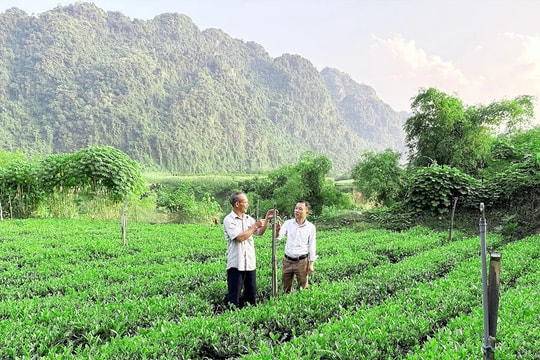 Thái Nguyên: Huyện Võ Nhai đào tạo nghề, trao sinh kế