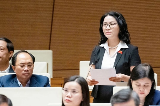 Ưu tiên đào tạo nguồn nhân lực cho phòng, chống thiên tai