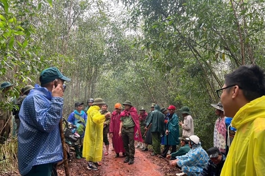 Quảng Nam: Lực lượng Công an xuyên đêm tìm kiếm người đàn ông đi lạc trong núi