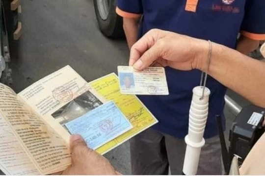 Trường hợp nào bị thu hồi bằng lái xe theo Luật Trật tự an toàn giao thông đường bộ mới nhất 2024?