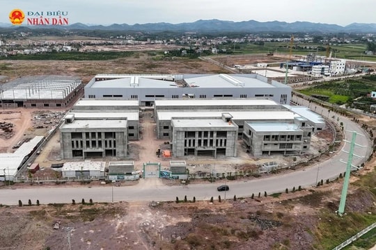 Công ty TNHH công nghệ vật liệu mới Ciyu Việt Nam bất chấp pháp luật Việt Nam như thế nào?