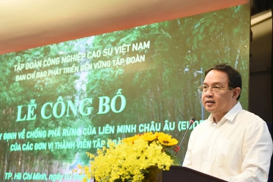 Nhiều đơn vị của Tập đoàn Cao su Việt Nam chủ động thích ứng với quy định chống phá rừng của Liên minh châu Âu
