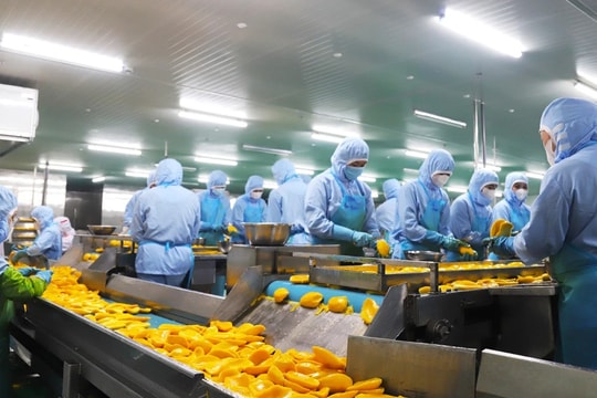 Chất lượng các đề án khuyến công từng bước được nâng cao