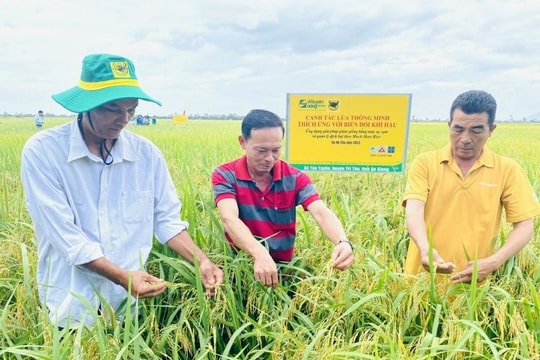 Giúp người nông dân làm chủ cánh đồng lúa thông minh, nâng cao hiệu quả sản xuất nông nghiệp 