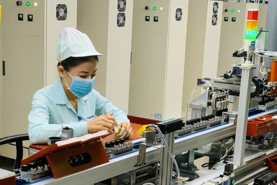 Hoàn thiện tiêu chuẩn xanh để tham gia sâu vào chuỗi cung ứng