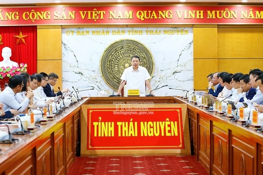 Ứng dụng công nghệ số cho sản phẩm chè Thái Nguyên