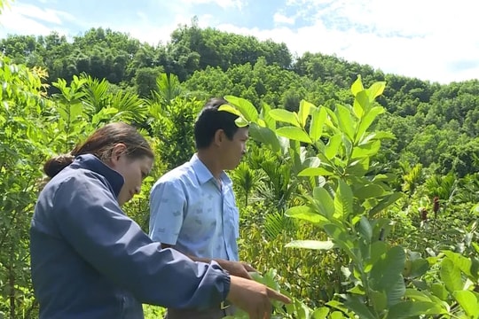 Dành nhiều nguồn lực phát triển vùng đồng bào dân tộc thiểu số