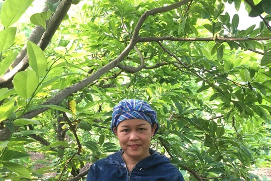 Vùng cao Thái Nguyên giảm nghèo nhanh nhờ hỗ trợ sinh kế