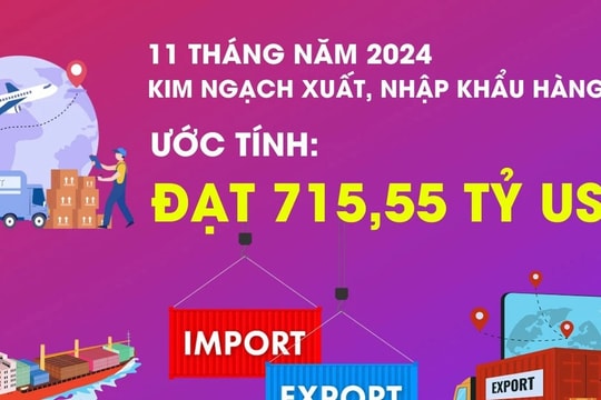 Tổng kim ngạch xuất, nhập khẩu hàng hóa 11 tháng năm 2024 tăng 15,4%