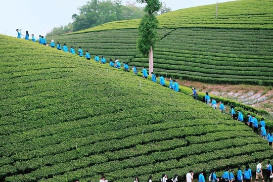 Thái Nguyên: Huyện Đại Từ tiến tới xây dựng huyện nông thôn mới nâng cao