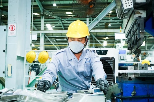 Bình Định tạo điều kiện thu hút doanh nghiệp đầu tư vào công nghiệp hỗ trợ