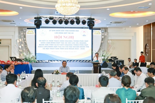 Xây dựng mô hình hợp tác xã nuôi biển công nghệ cao