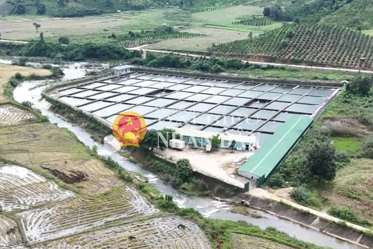 Đắk Lắk: Doanh nghiệp chặn suối nuôi cá tầm “hứa” khoan giếng cho dân rồi… “lãng quên”?