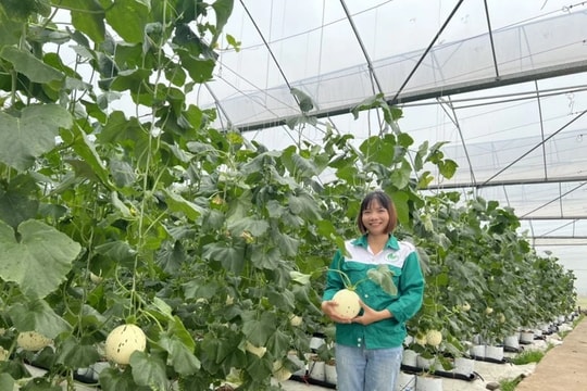 Hiện đại hóa sản xuất nông nghiệp